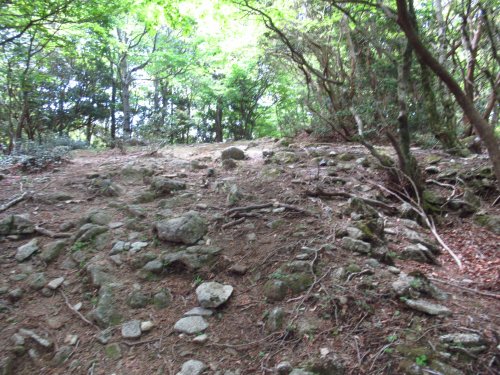 野登山